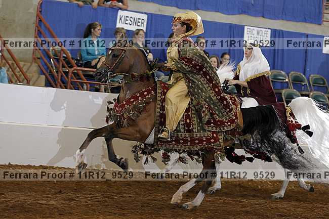 Proof Number 11r12_9529
