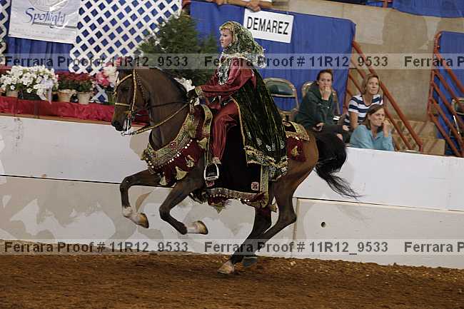 Proof Number 11r12_9533