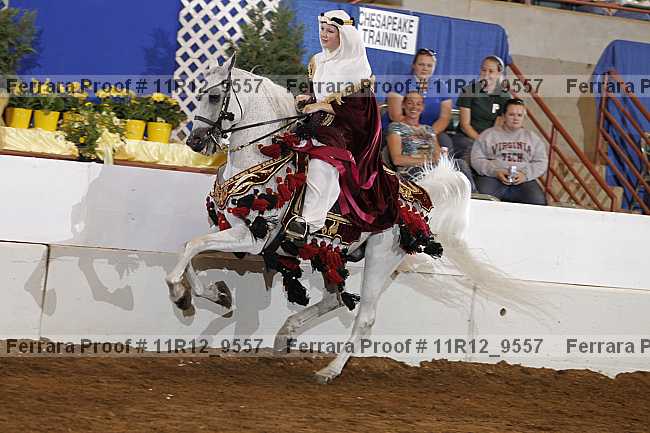 Proof Number 11r12_9557