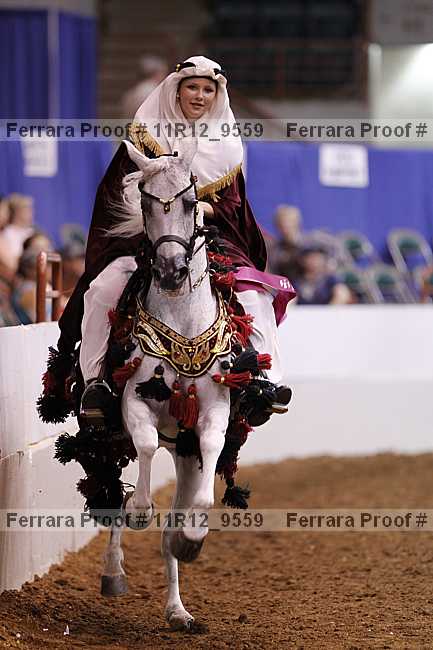 Proof Number 11r12_9559