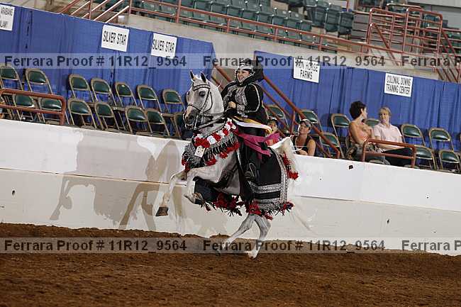 Proof Number 11r12_9564