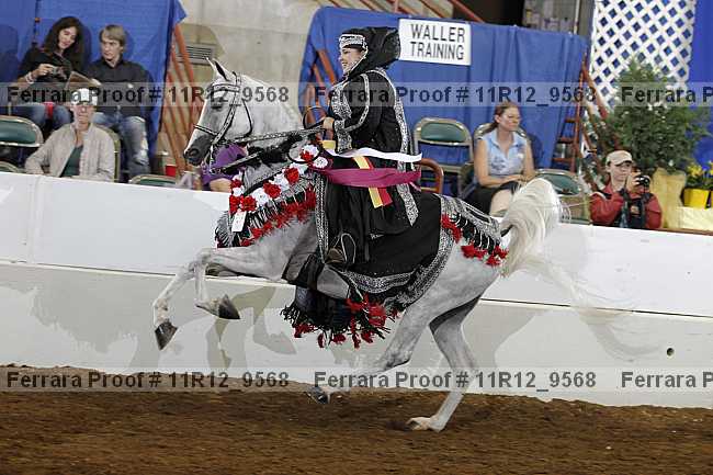Proof Number 11r12_9568