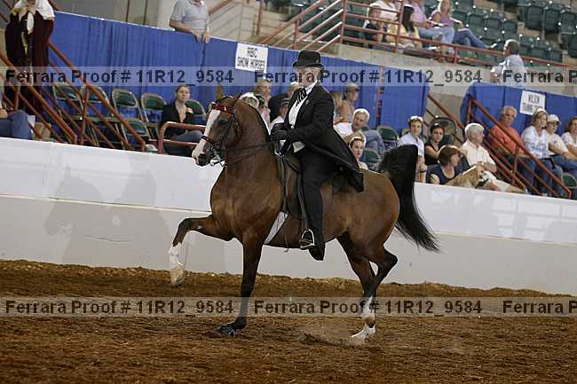 Proof Number 11r12_9584