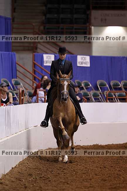 Proof Number 11r12_9593
