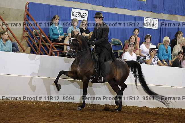 Proof Number 11r12_9594