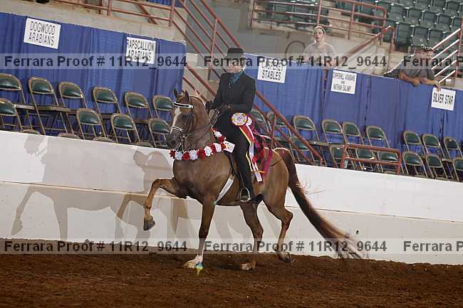 Proof Number 11r12_9644
