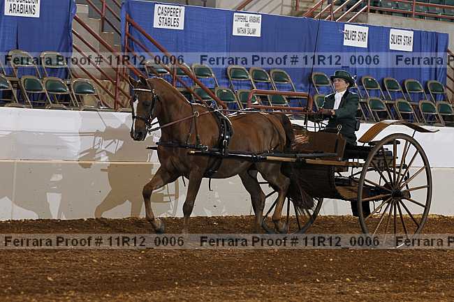 Proof Number 11r12_0006