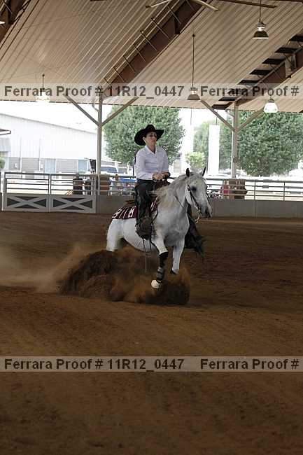 Proof Number 11r12_0447