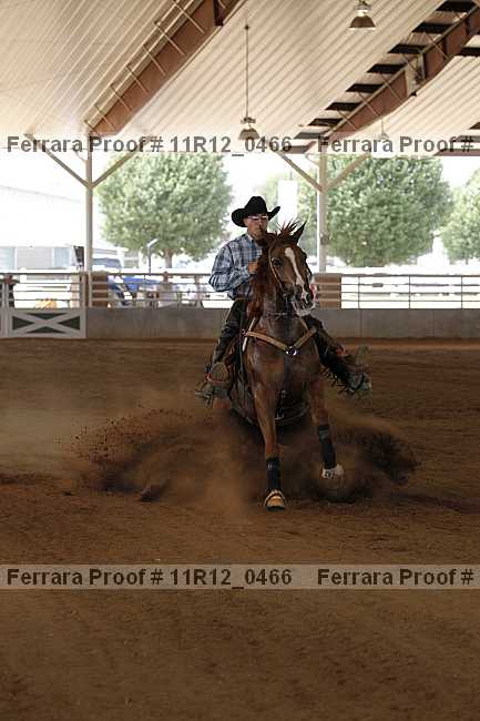 Proof Number 11r12_0466