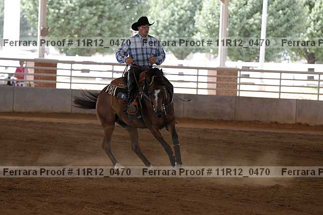 Proof Number 11r12_0470