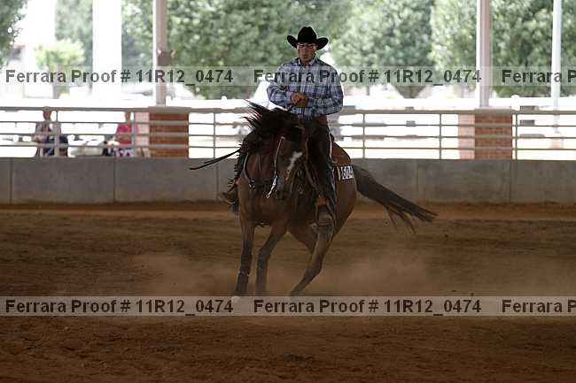 Proof Number 11r12_0474