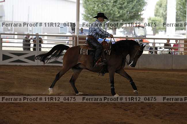 Proof Number 11r12_0475