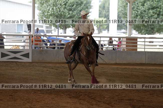 Proof Number 11r12_0481