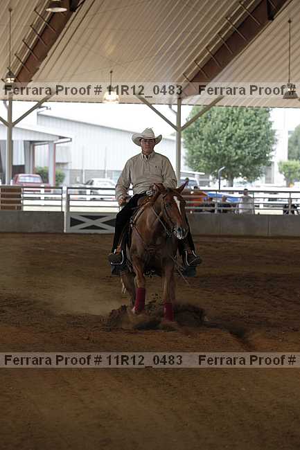 Proof Number 11r12_0483