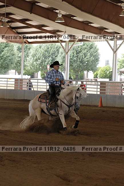 Proof Number 11r12_0486