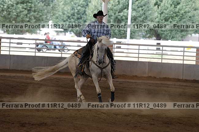 Proof Number 11r12_0489