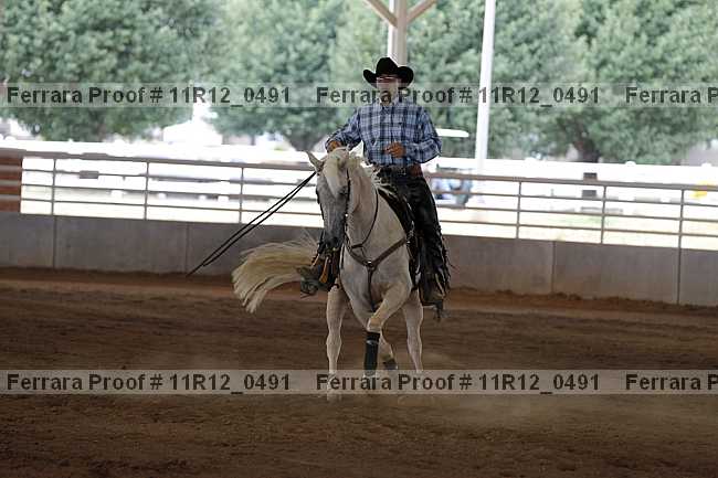 Proof Number 11r12_0491