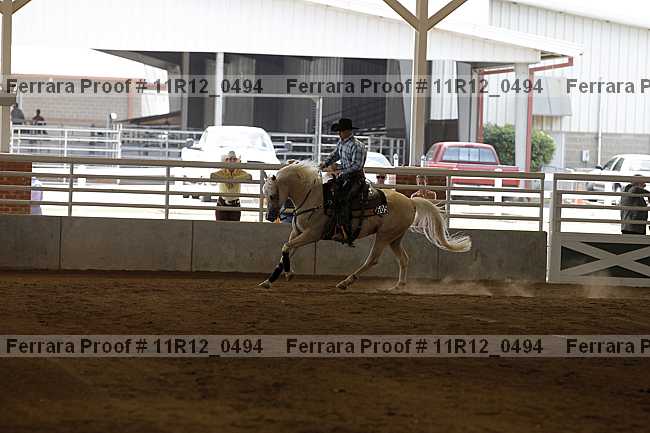 Proof Number 11r12_0494