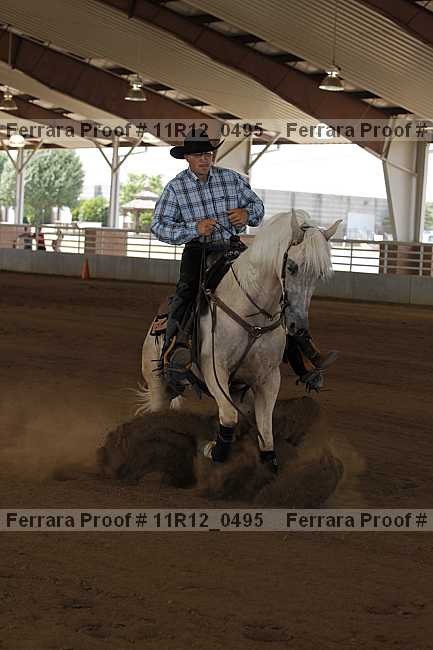 Proof Number 11r12_0495