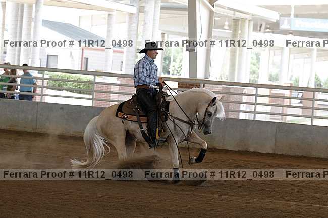 Proof Number 11r12_0498