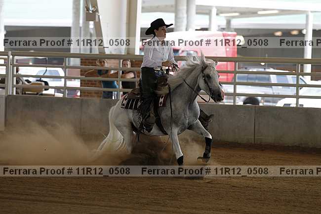 Proof Number 11r12_0508
