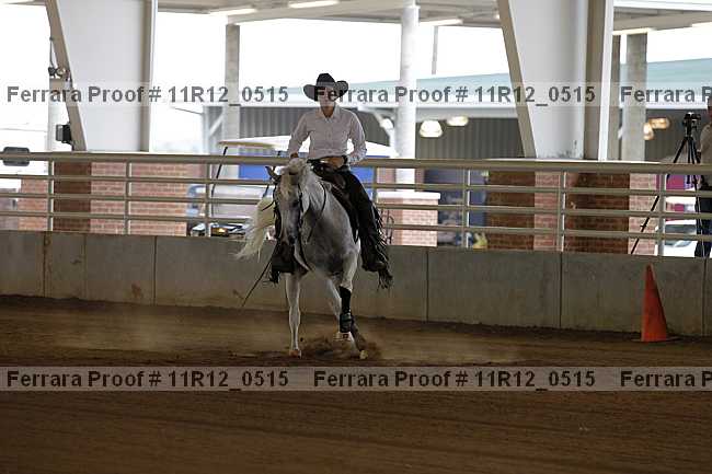 Proof Number 11r12_0515