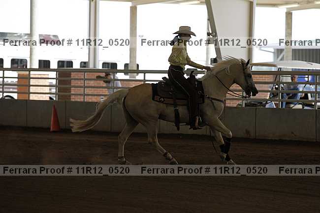 Proof Number 11r12_0520