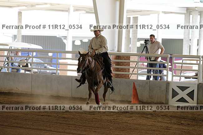 Proof Number 11r12_0534