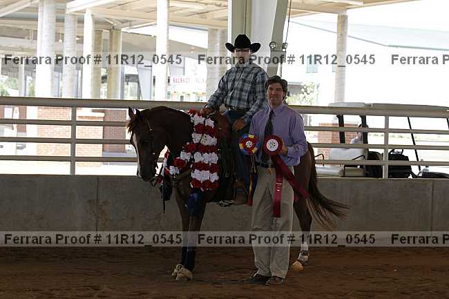 Proof Number 11r12_0545
