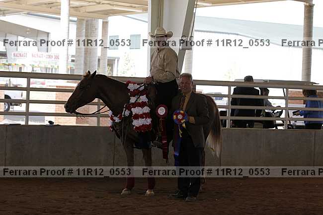 Proof Number 11r12_0553