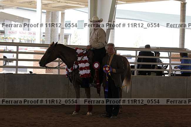 Proof Number 11r12_0554