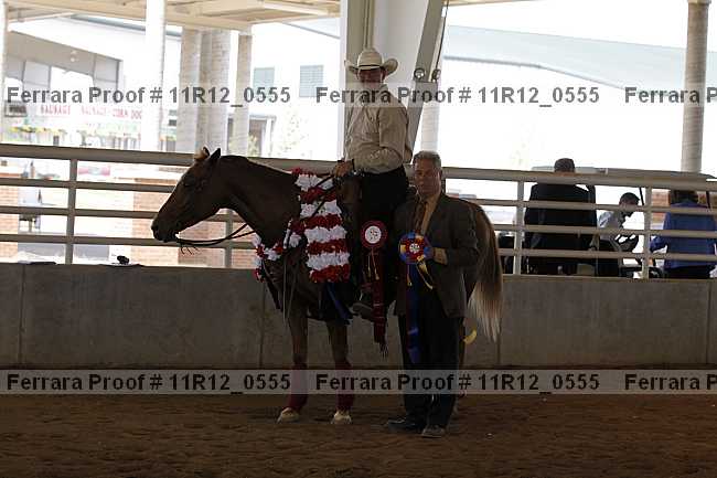 Proof Number 11r12_0555