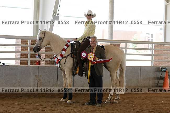Proof Number 11r12_0558