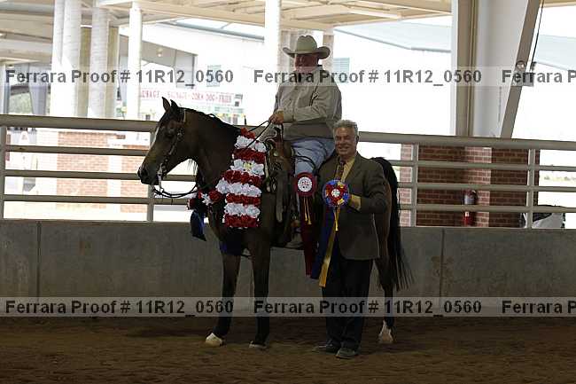 Proof Number 11r12_0560