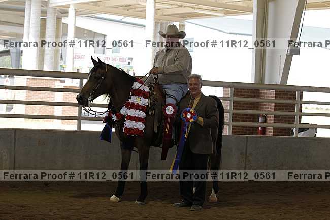 Proof Number 11r12_0561