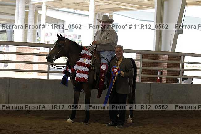 Proof Number 11r12_0562