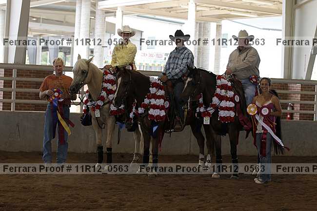 Proof Number 11r12_0563