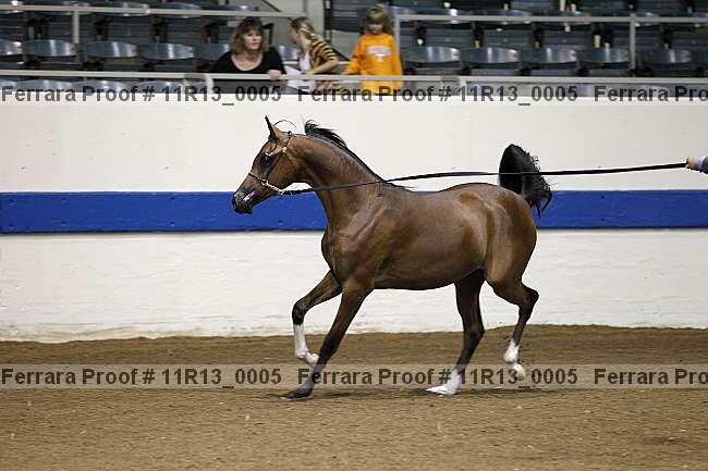 Proof Number 11r13_0005