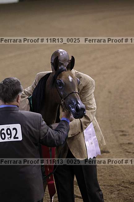 Proof Number 11r13_0025