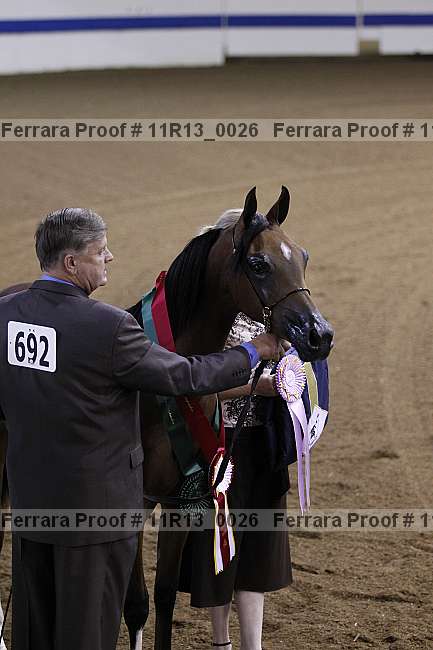 Proof Number 11r13_0026