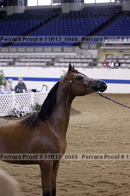 Proof Number 11r13_0049
