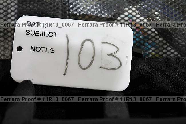 Proof Number 11r13_0067