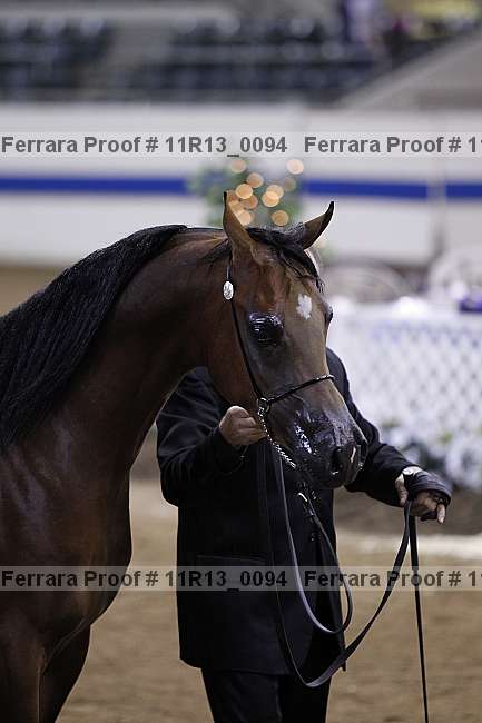 Proof Number 11r13_0094