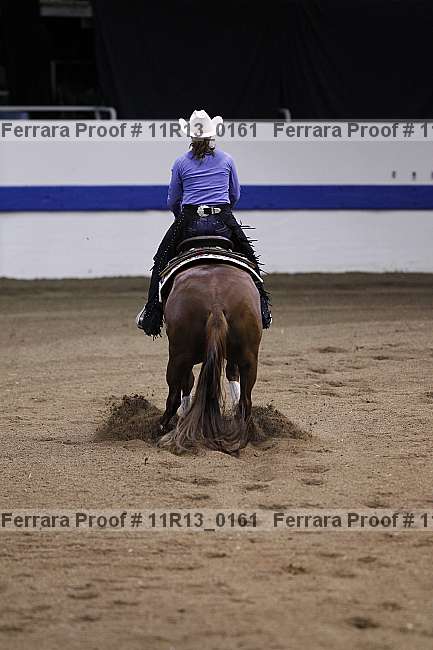 Proof Number 11r13_0161