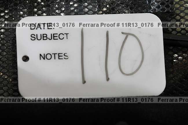 Proof Number 11r13_0176