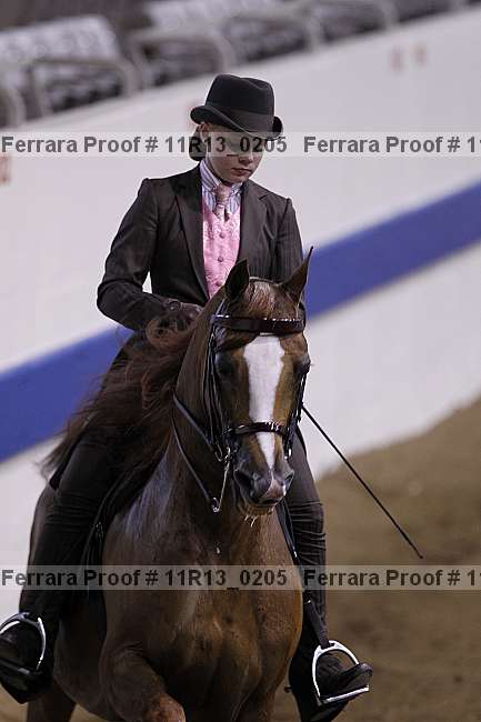 Proof Number 11r13_0205