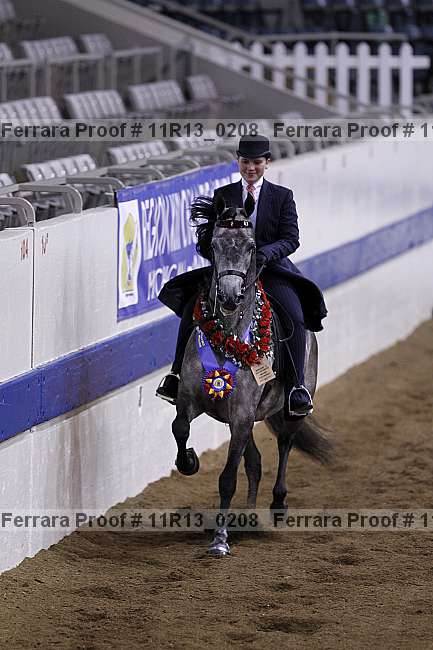 Proof Number 11r13_0208