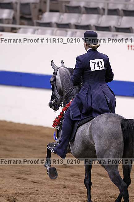 Proof Number 11r13_0210