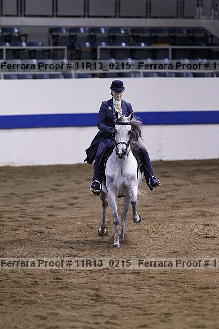 Proof Number 11r13_0215