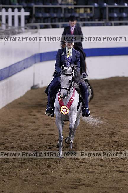 Proof Number 11r13_0228